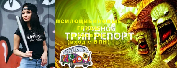 не бодяженный Дмитров