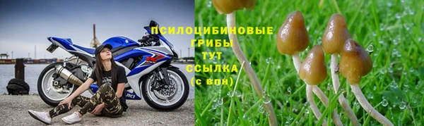 каннабис Дмитровск