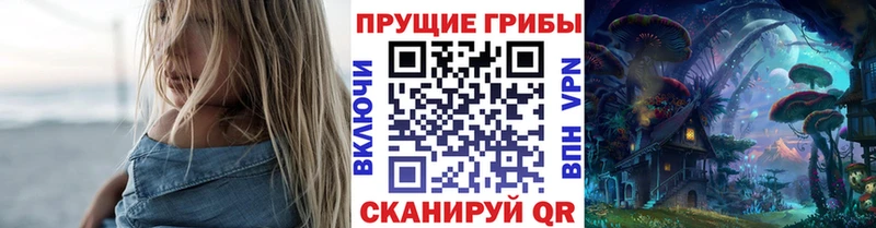 Псилоцибиновые грибы мухоморы  Купить закладки  Кремёнки 